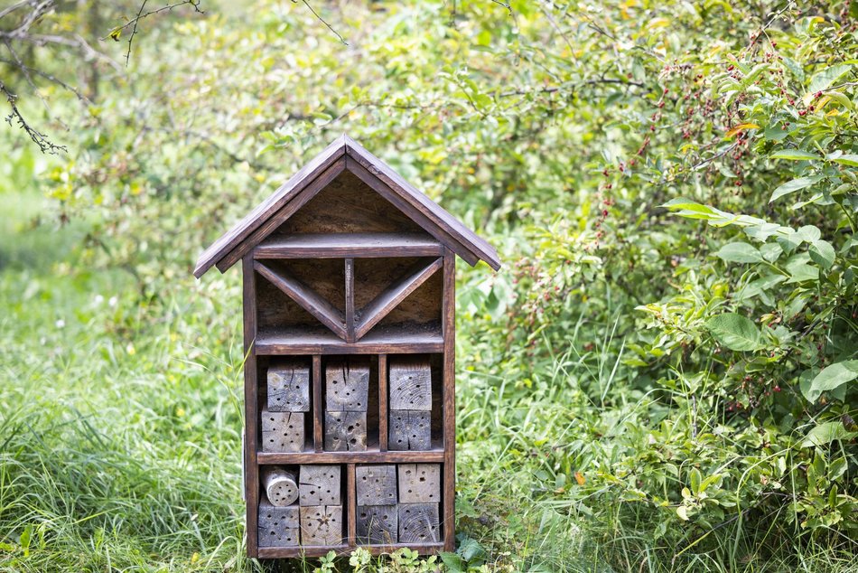 Warsztaty w Ogrodzie Botanicznym w Łodzi