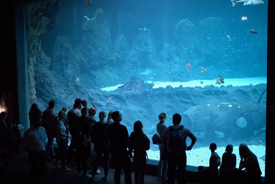  Orientarium Zoo Łódź