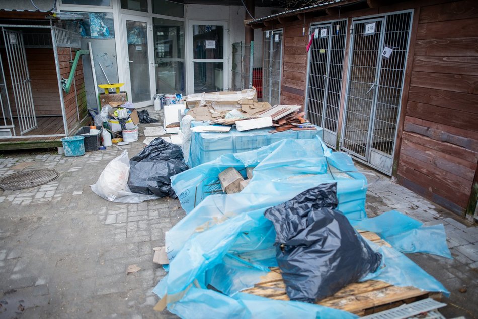 Remont schroniska w Łodzi