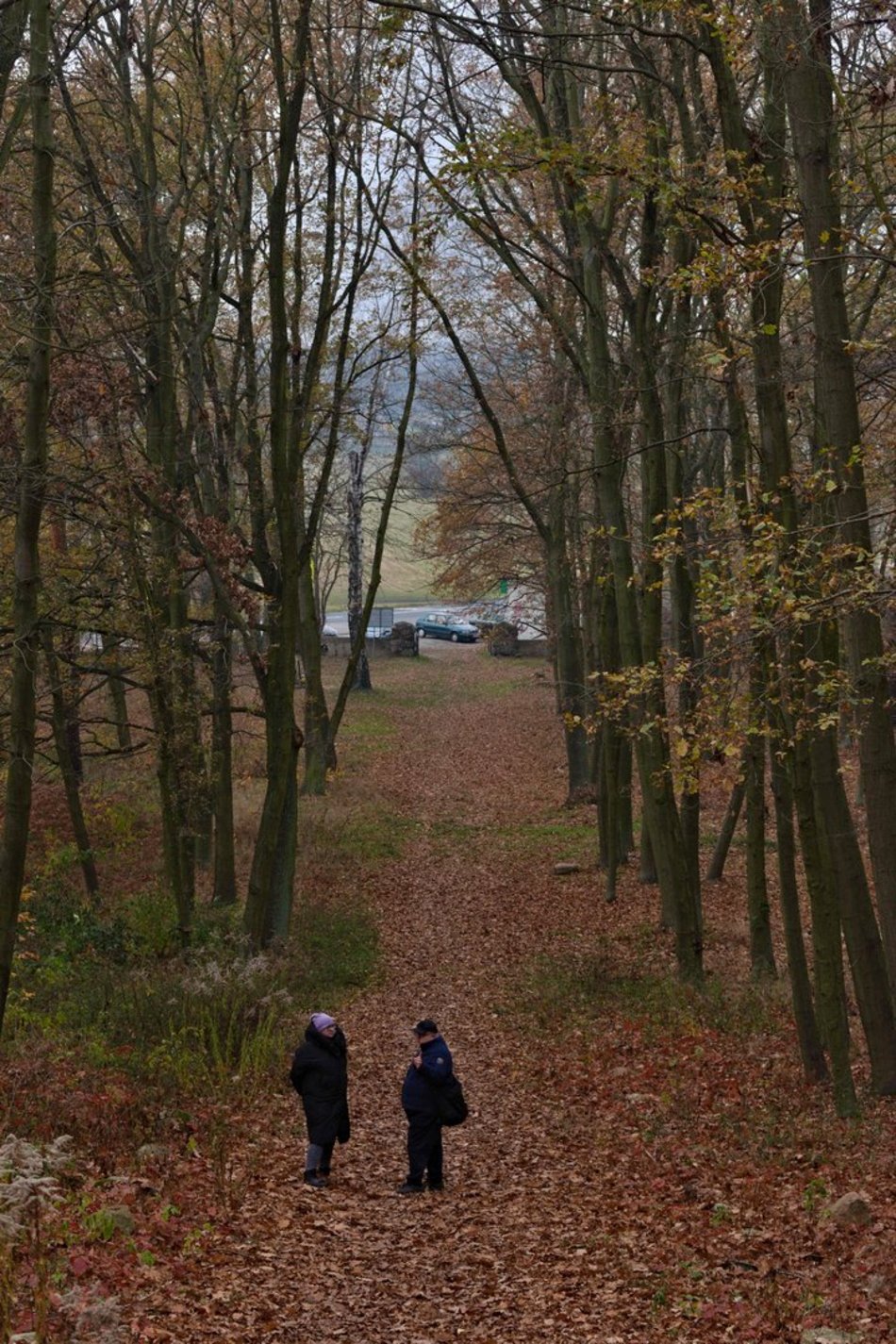 Grobowa Góra w Starej Gadce. Największy łódzki cmentarz ofiar I wojny światowej