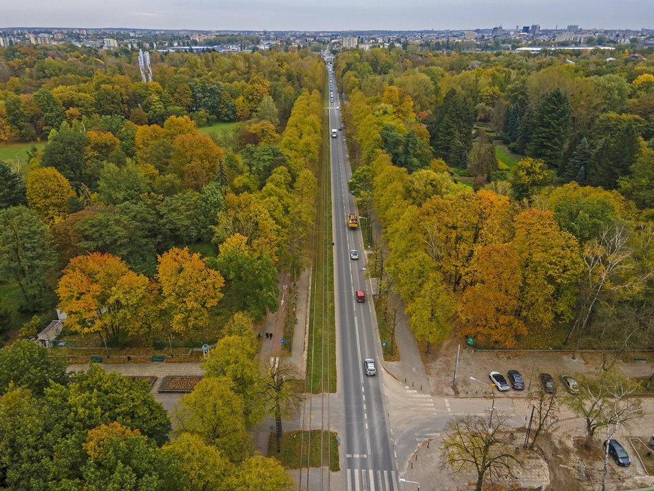 Park na Zdrowiu