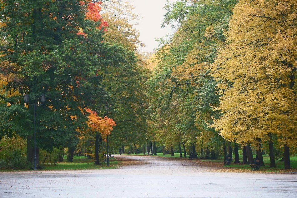 Łódź. Jesienne kadry z parków