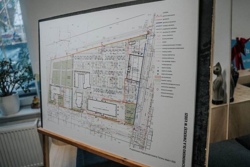 Łódź. Wielka metamorfoza schroniska w Łodzi