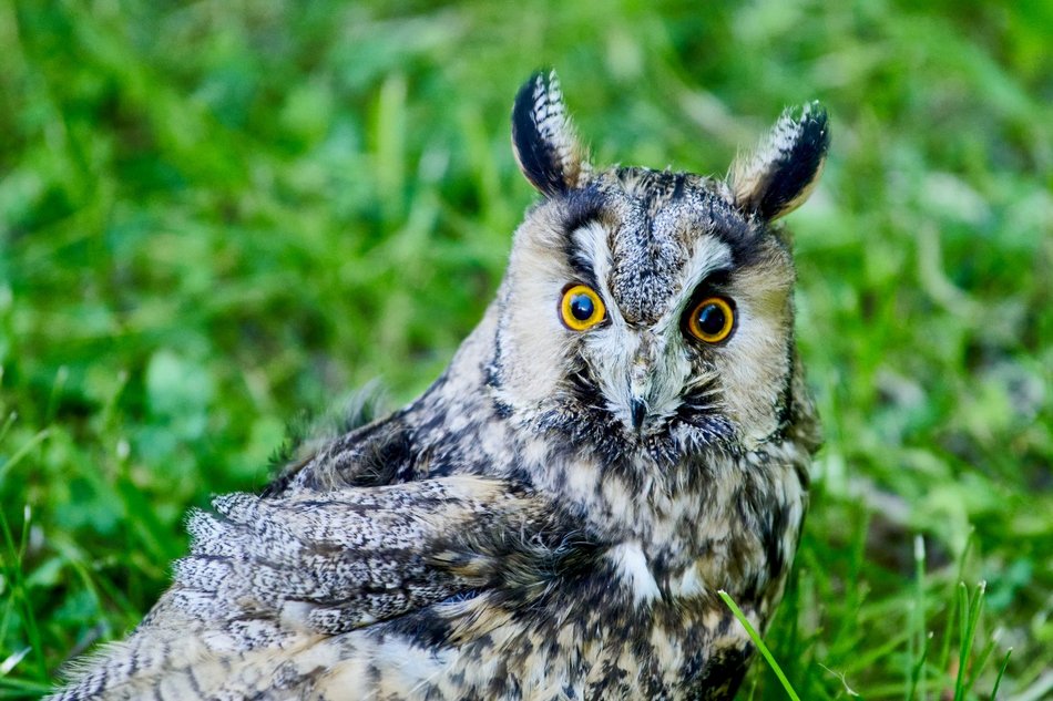 Majówka w Ogrodzie Botanicznym w Łodzi