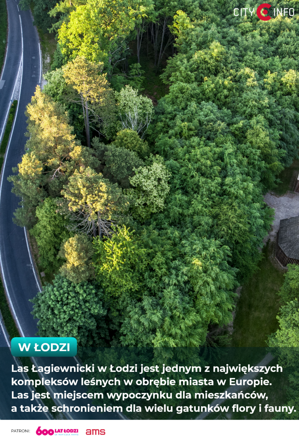 Ciekawostki o Łodzi na ekranach AMS