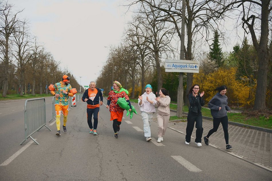 Łódź. Strefa kibica na DOZ Maraton Łódź 2026. Jak Łodzianie dopingowali biegaczy?