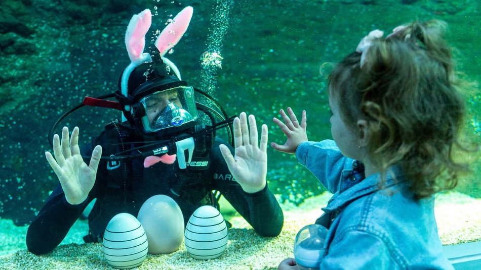 Łódź. Wielkie Szukanie Jajek w Orientarium Zoo Łódź. Wielkanocna zabawa dla dzieci i dorosłych!
