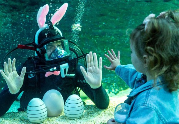 Łódź. Wielkie Szukanie Jajek w Orientarium Zoo Łódź. Wielkanocna zabawa dla dzieci i dorosłych!