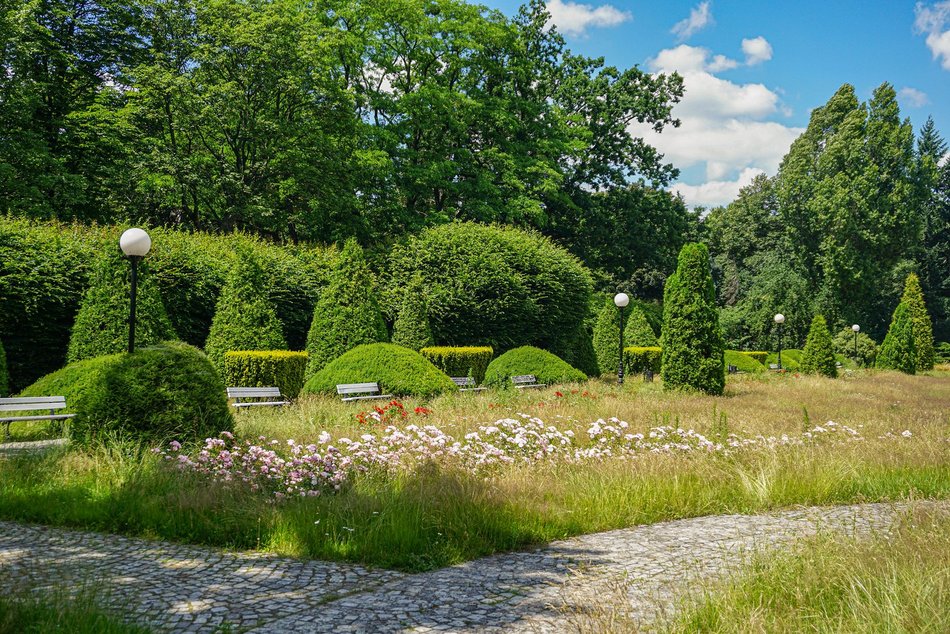 Łódź. Lumumbowo nie tylko dla studentów. Spa, restauracje, piekarnie, a nawet basen