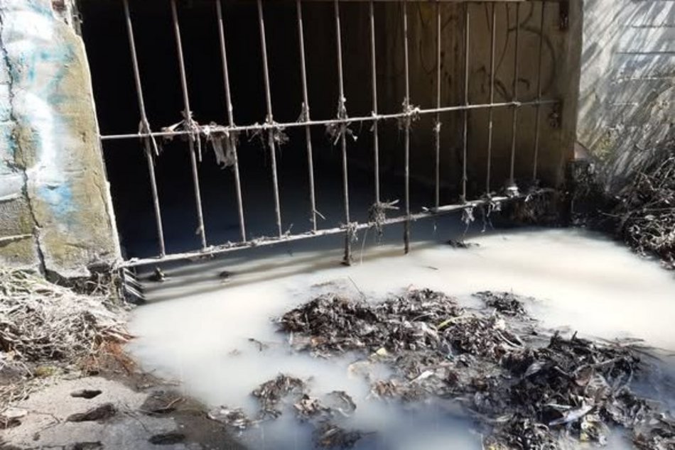 Biała substancja w rzece Olechówce. Sprawca został zatrzymany, zapłaci karę!