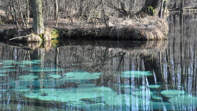 Niebieskie Źródła należały do Łodzi. Jak woda z rezerwatu miała trafić do kuchni łodzian?