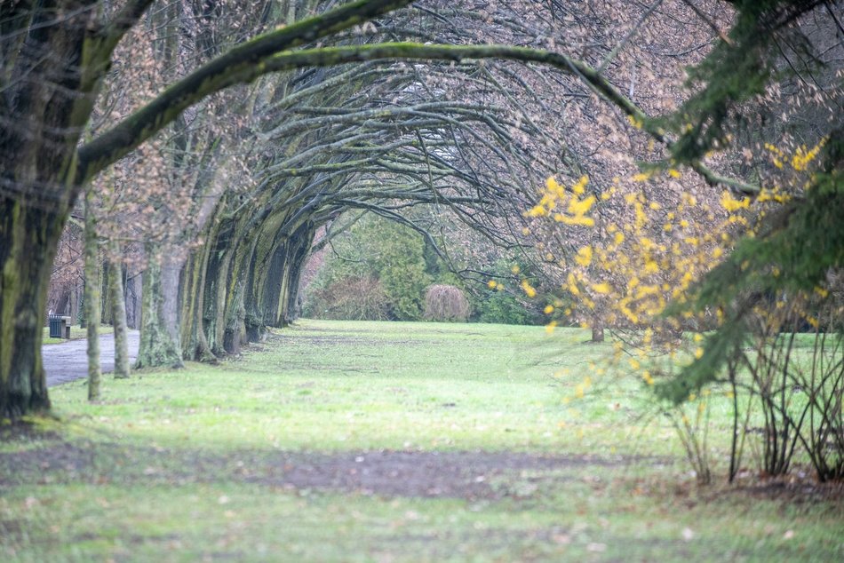Ogród Botaniczny w Łodzi