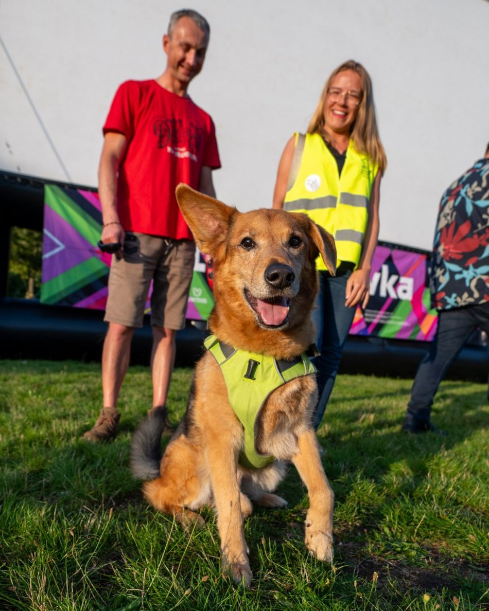 Łódź. Psia Polówka na Widzewskiej Górce. Psiaki przejęły dowodzenie!