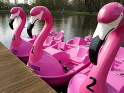 Rowery wodne flamingi w parku na Młynku