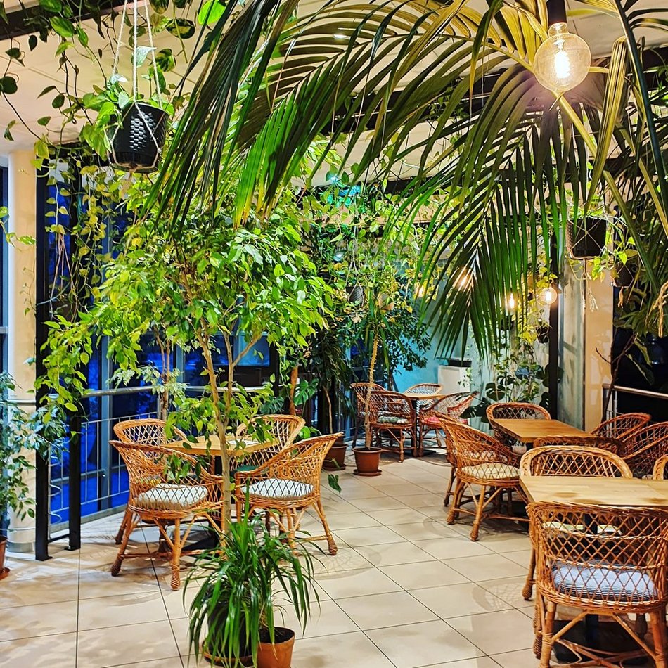 Łódź. Palmiarnia w Łodzi