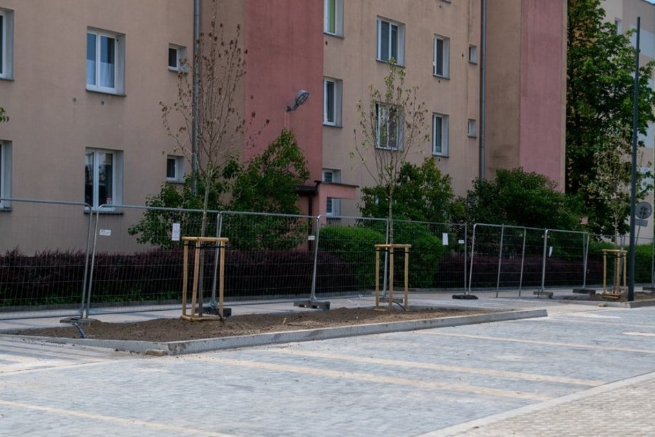 Nowy woonerf przy Wierzbowej w Łodzi prawie gotowy. I to w samym centrum miasta!