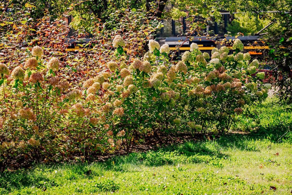 Łódź. Wrzesień w Łodzi potrafi zaskoczyć! Miasto wciąż tętni kolorami i zapachem kwiatów