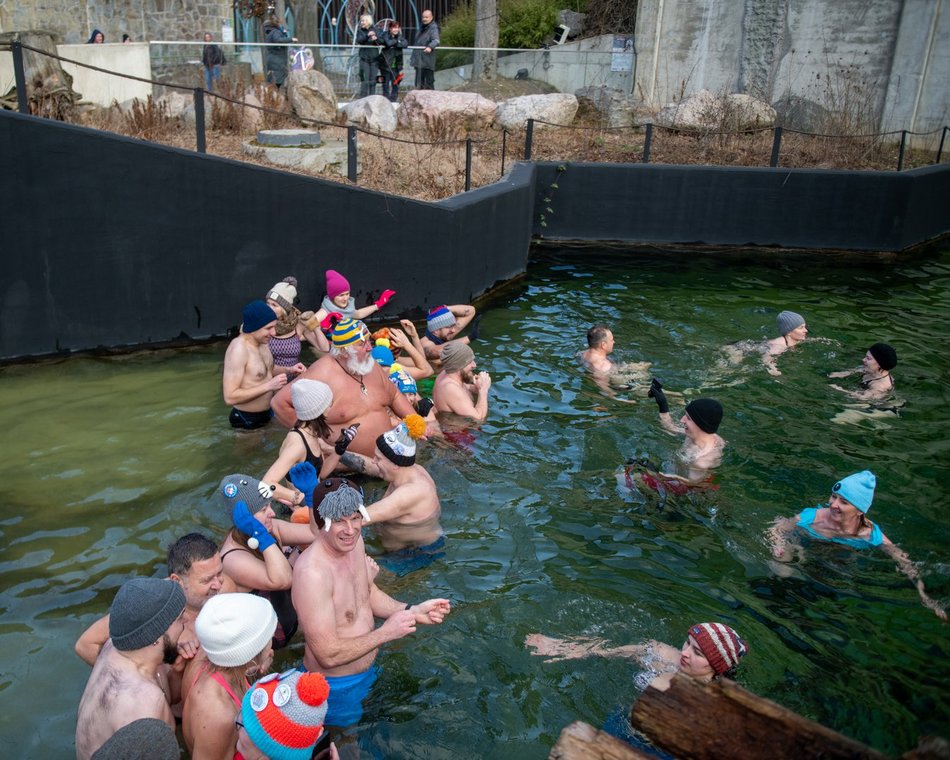 Łódź. Morsowanie w basenie dla słoni