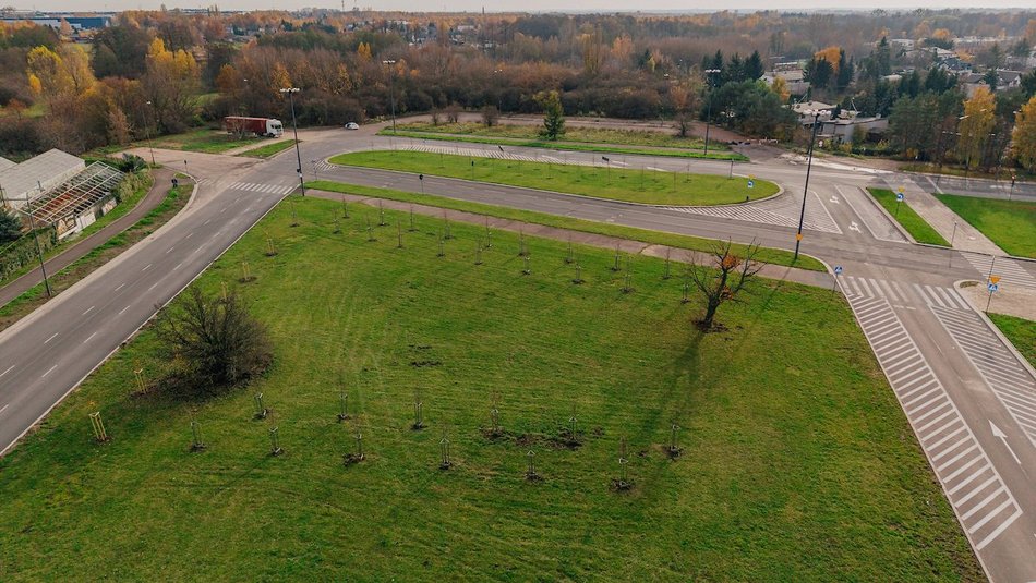 Łódź. Kolejne drzewa w centrum Łodzi!
