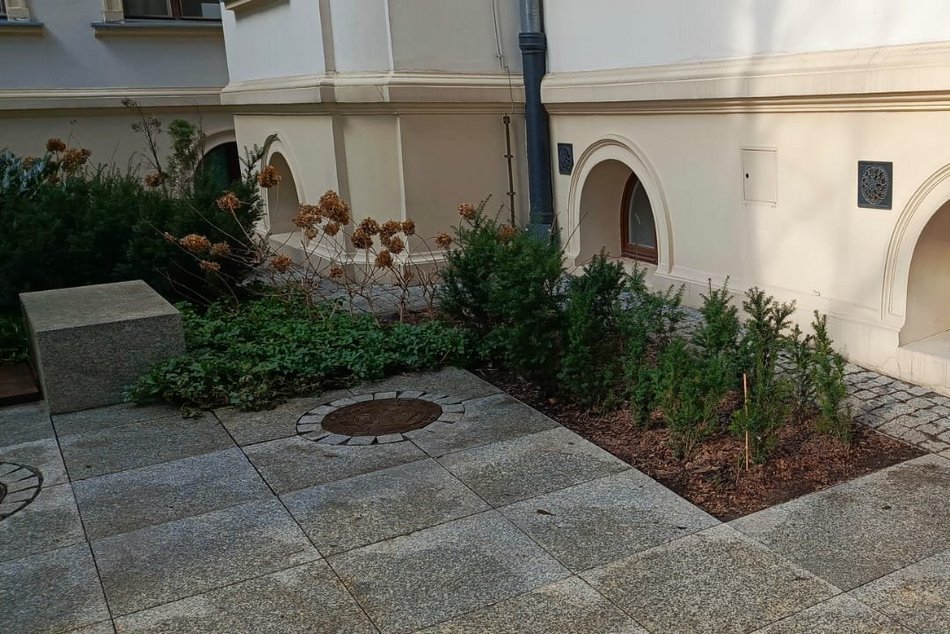 Wiosenne porządki w Łódzkich Nieruchomościach. Podwórka, elewacje i klatki schodowe na błysk!