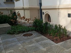 Wiosenne porządki w Łódzkich Nieruchomościach. Podwórka, elewacje i klatki schodowe na błysk!