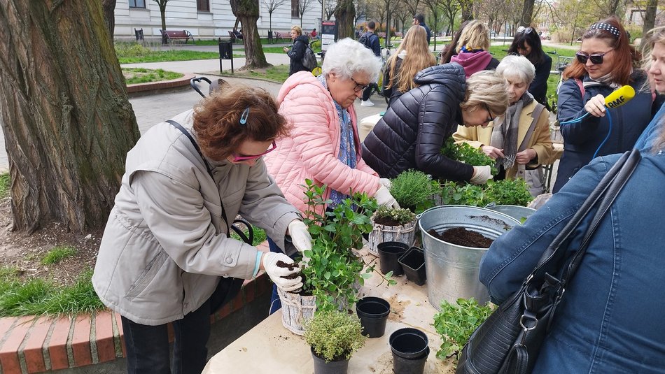 Ekologiczne warsztaty i rozdawanie sadzonek w pasażu Rubinsteina