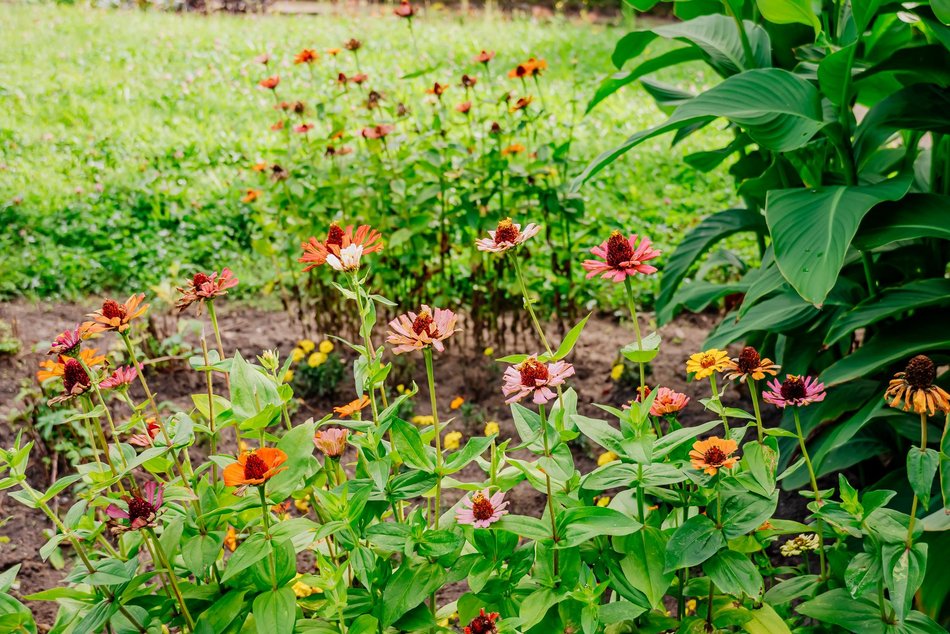 Łódź. Jesień w Ogrodzie Botanicznym w Łodzi. Tam z pewnością pokochasz tę porę roku!