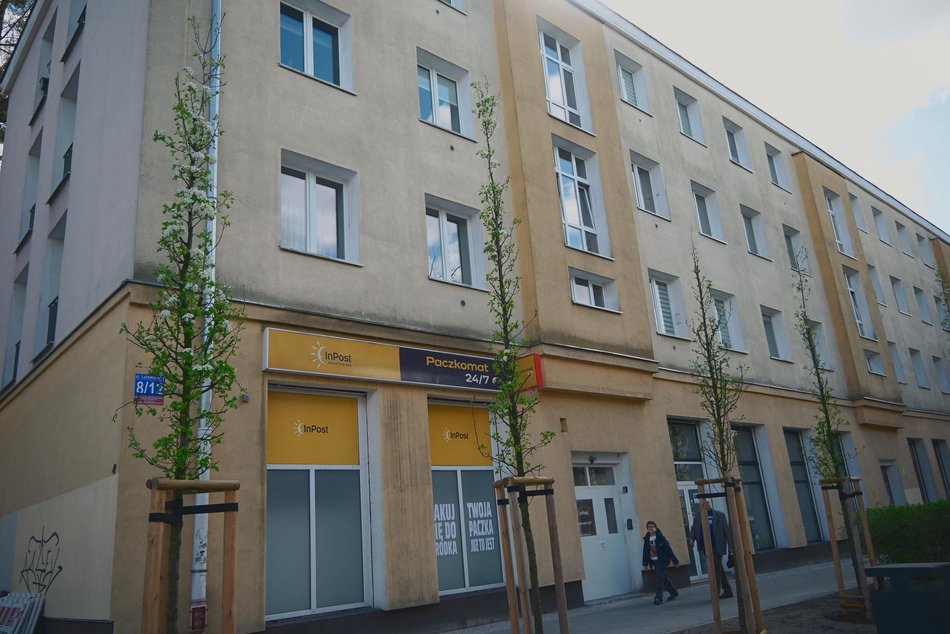 Łódź. Zielona rewolucja na Lutomierskiej w Łodzi. Posadzili ponad 20 nowych drzew!