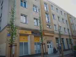 Łódź. Zielona rewolucja na Lutomierskiej w Łodzi. Posadzili ponad 20 nowych drzew!