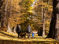 Łódź. Park Helenów w Łodzi w jesiennej odsłonie. Spacer w tym miejscu to czysta przyjemność