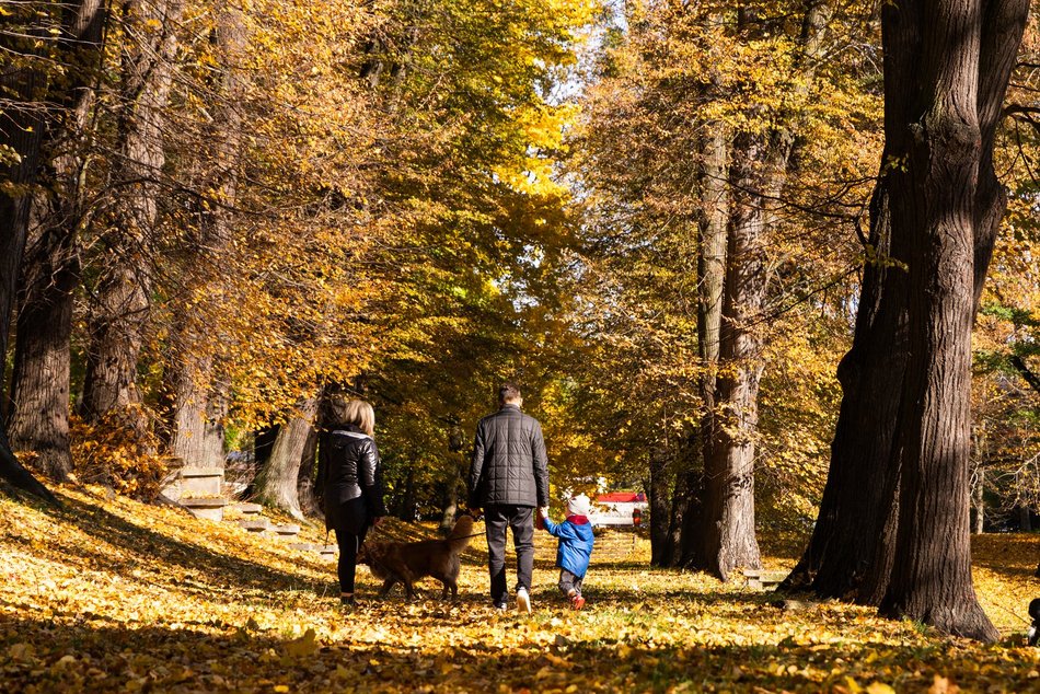 Łódź. Park Helenów w Łodzi w jesiennej odsłonie. Spacer w tym miejscu to czysta przyjemność