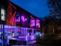 Park Miliona Świateł w Łodzi otwarty! Magiczne zwierzęta opanowały Orientarium Zoo Łódź