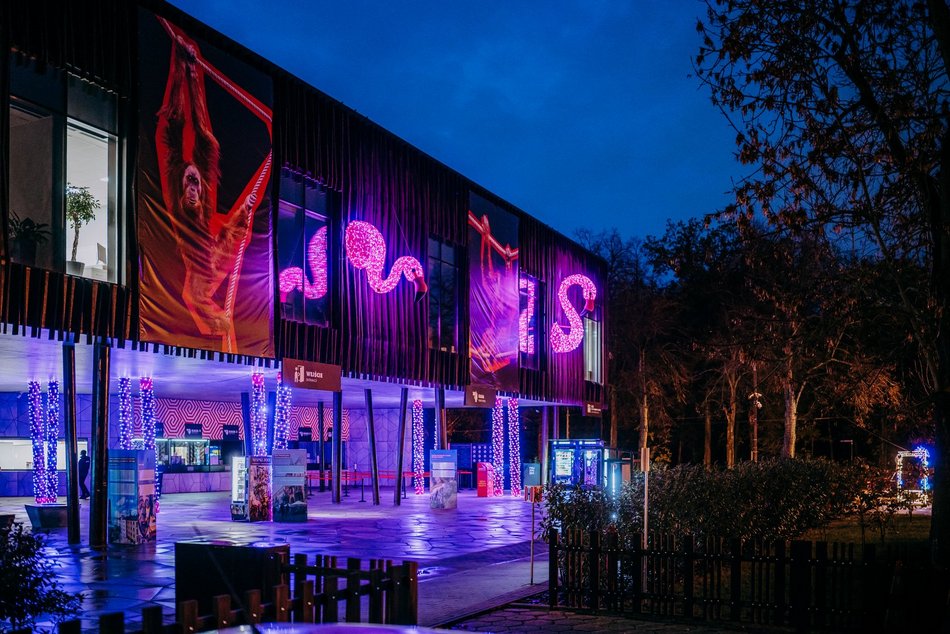Park Miliona Świateł w Łodzi otwarty! Magiczne zwierzęta opanowały Orientarium Zoo Łódź