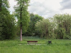 Zakaz koszenia traw w Łodzi przedłużony. Odpowiedź miasta na suszę