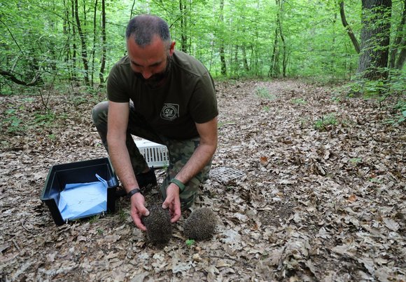 Ośrodek Rehabilitacji Dzikich Zwierząt