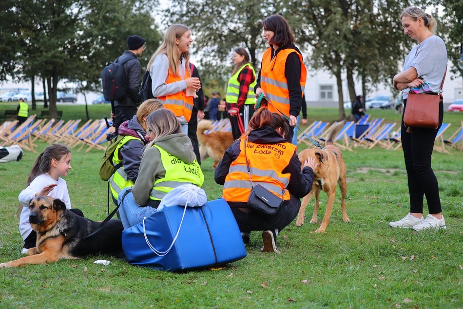 Psia Polówka w Porcie Łódź