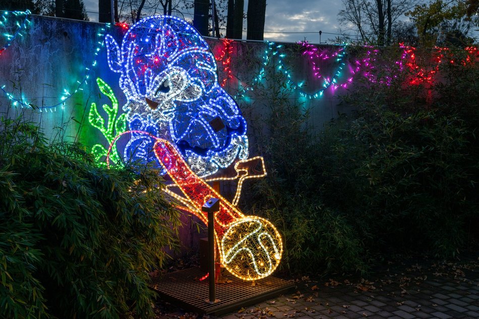 Park Miliona Świateł w Łodzi otwarty! Magiczne zwierzęta opanowały Orientarium Zoo Łódź