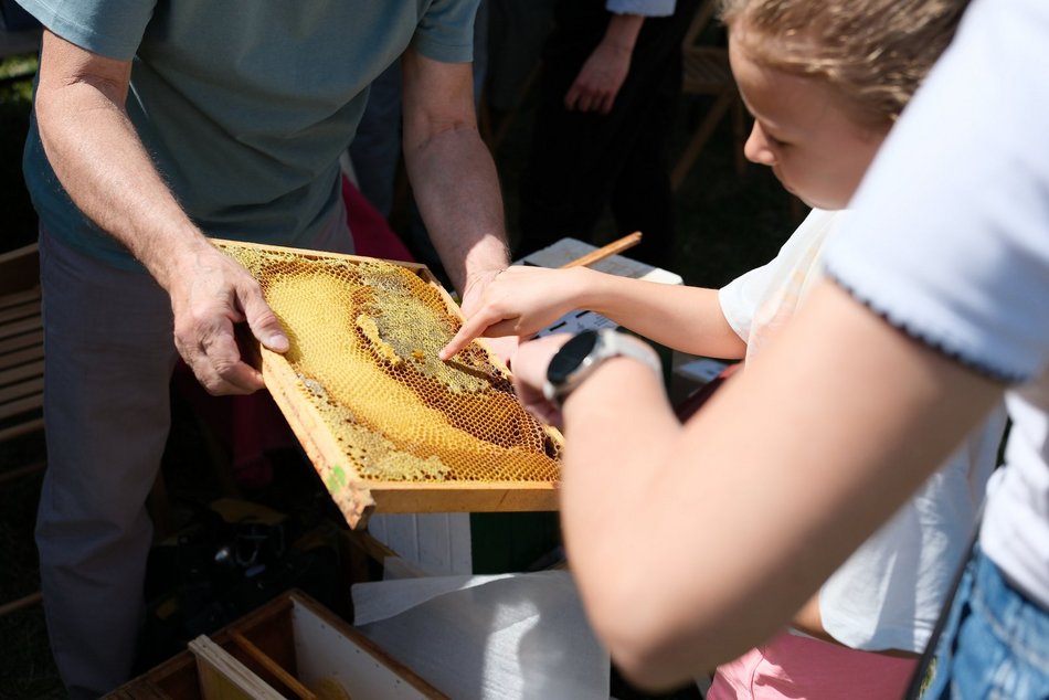 Ogród Botaniczny w Łodzi tętni życiem! Niedzielne tańce, koncerty, kiermasz i więcej