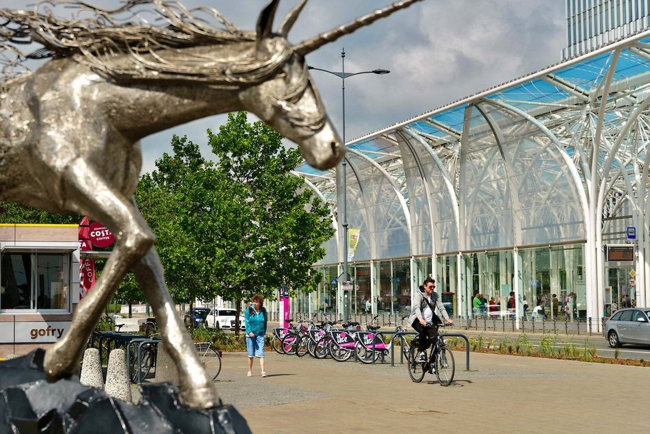 Łódź. Stajnia Jednorożców w Łodzi cała na zielono! Zamiast betonu ponad 500 mkw roślin