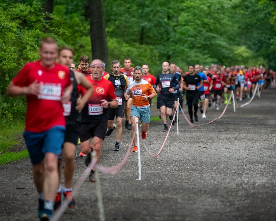 Bieg z Historią Widzewa 2024