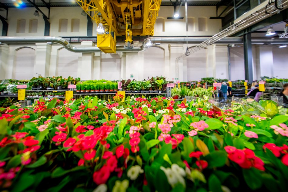 Festiwal Roślin w EC1 Łódź