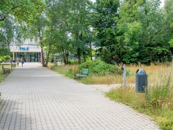 50 nowych koszy na psie odchody w Łodzi. Pojawią się na często uczęszczanych skwerach