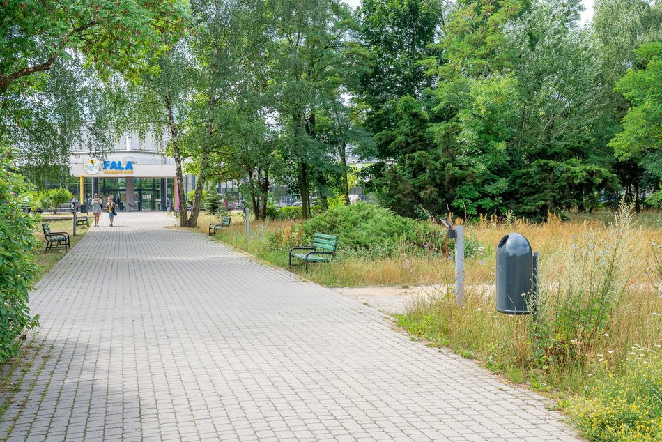 50 nowych koszy na psie odchody w Łodzi. Pojawią się na często uczęszczanych skwerach