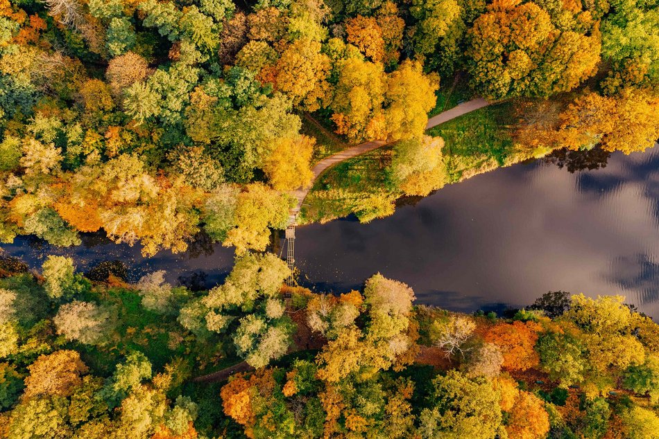 Łódź. Jesienna Łódź z lotu ptaka. Te zdjęcia zapierają dech w piersiach
