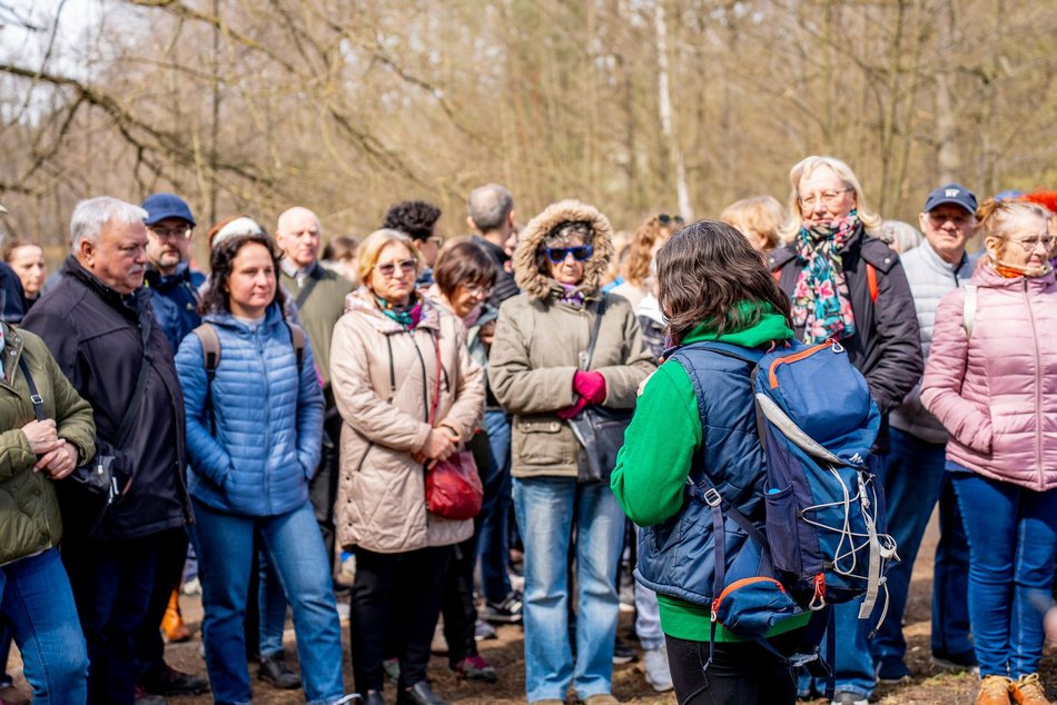 Łódź. Co robić w weekend w Łodzi? Koncert O.S.T.R., święto saun, spacer w Botaniku, Festiwal Roślin i więcej