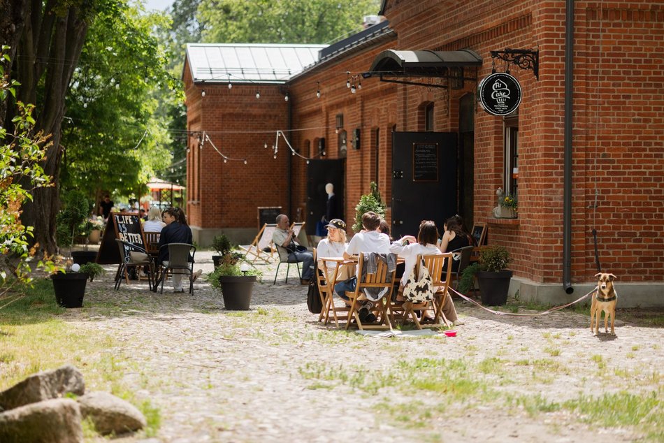 Łódź. Spacerowicze na Księżym Młynie i w Parku Źródliska w Łodzi. Recepta na udany weekend