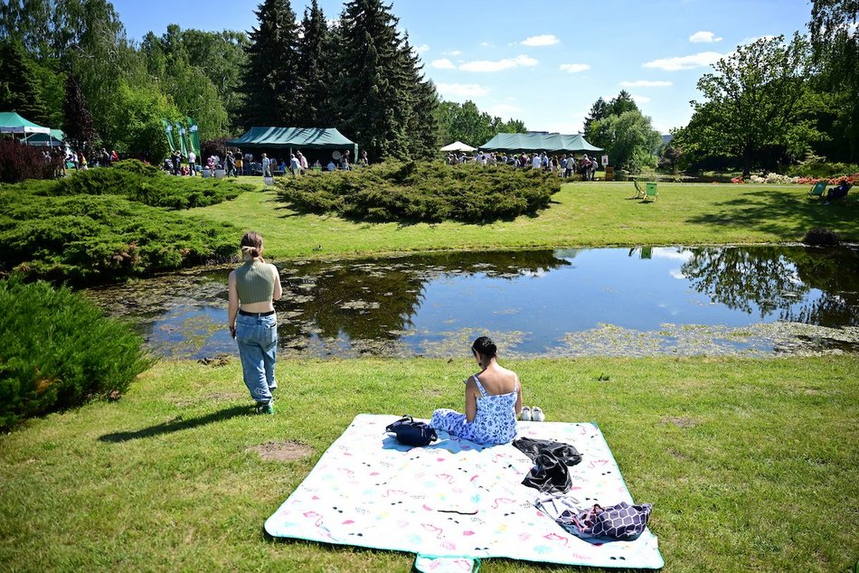 Łódź. Majówka w Ogrodzie Botanicznym w Łodzi. Słońce, przyroda i dobra zabawa