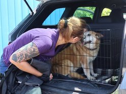 Łódź. Leon wreszcie znalazł dom! Po 10 latach czekania w schronisku w Łodzi