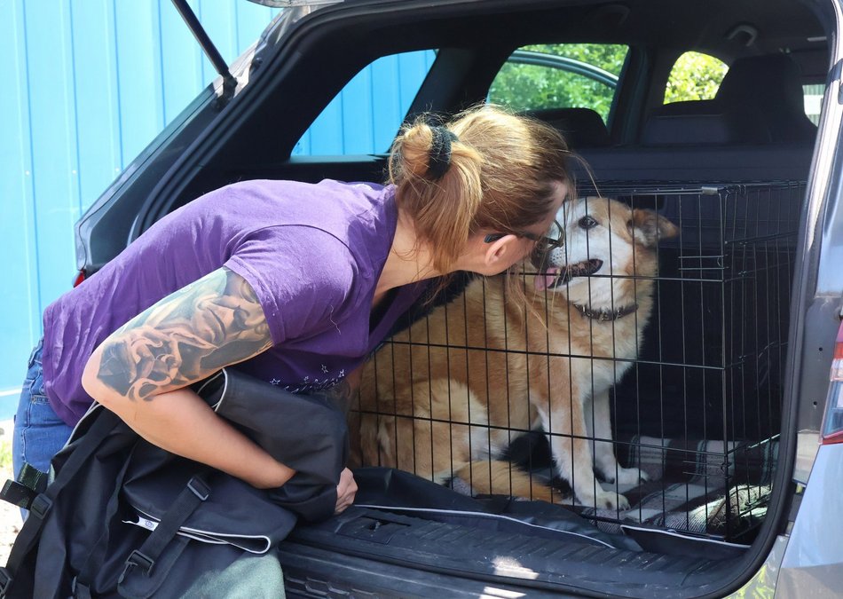 Łódź. Leon wreszcie znalazł dom! Po 10 latach czekania w schronisku w Łodzi
