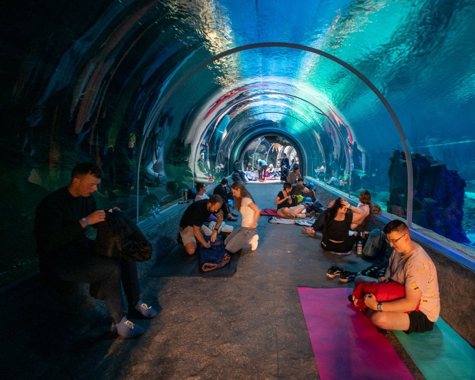 tunel ze zwierzętami morskimi